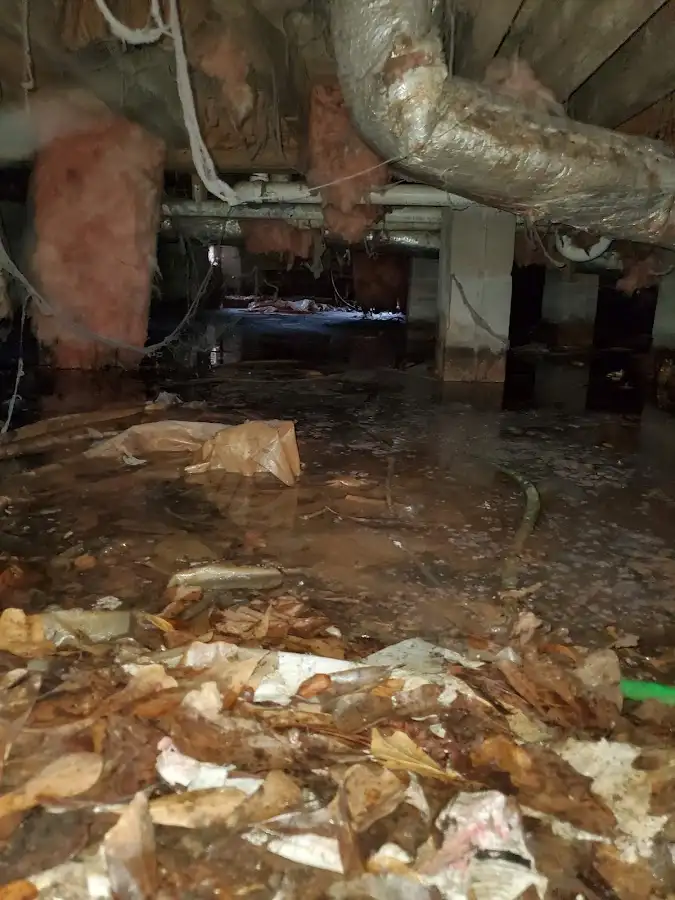 Crawl space flood assessment for Leak Detection & Repair in Fort Stewart